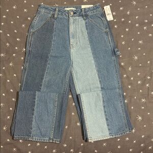 NWT PACSUN 90’s BF Carpenter Jeans. Straight leg with vertical blues. Size 24.